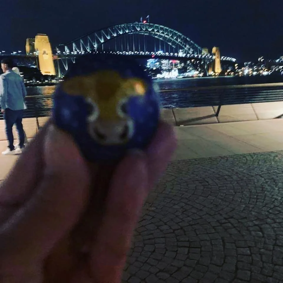 Sydney in Sydney Opera House