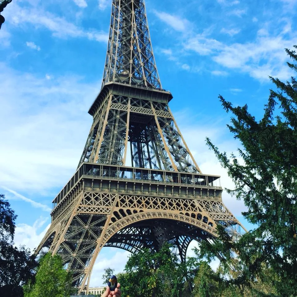 Oasis in Eiffel Tower