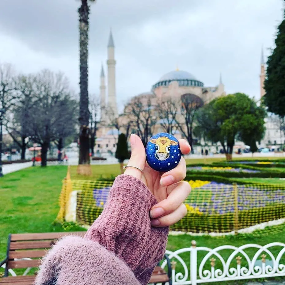 Hazelnut in Hagia Sophia