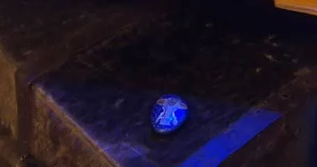 Dimitri in Polar Museum