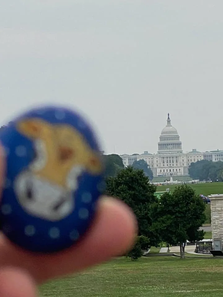 United States Capitol