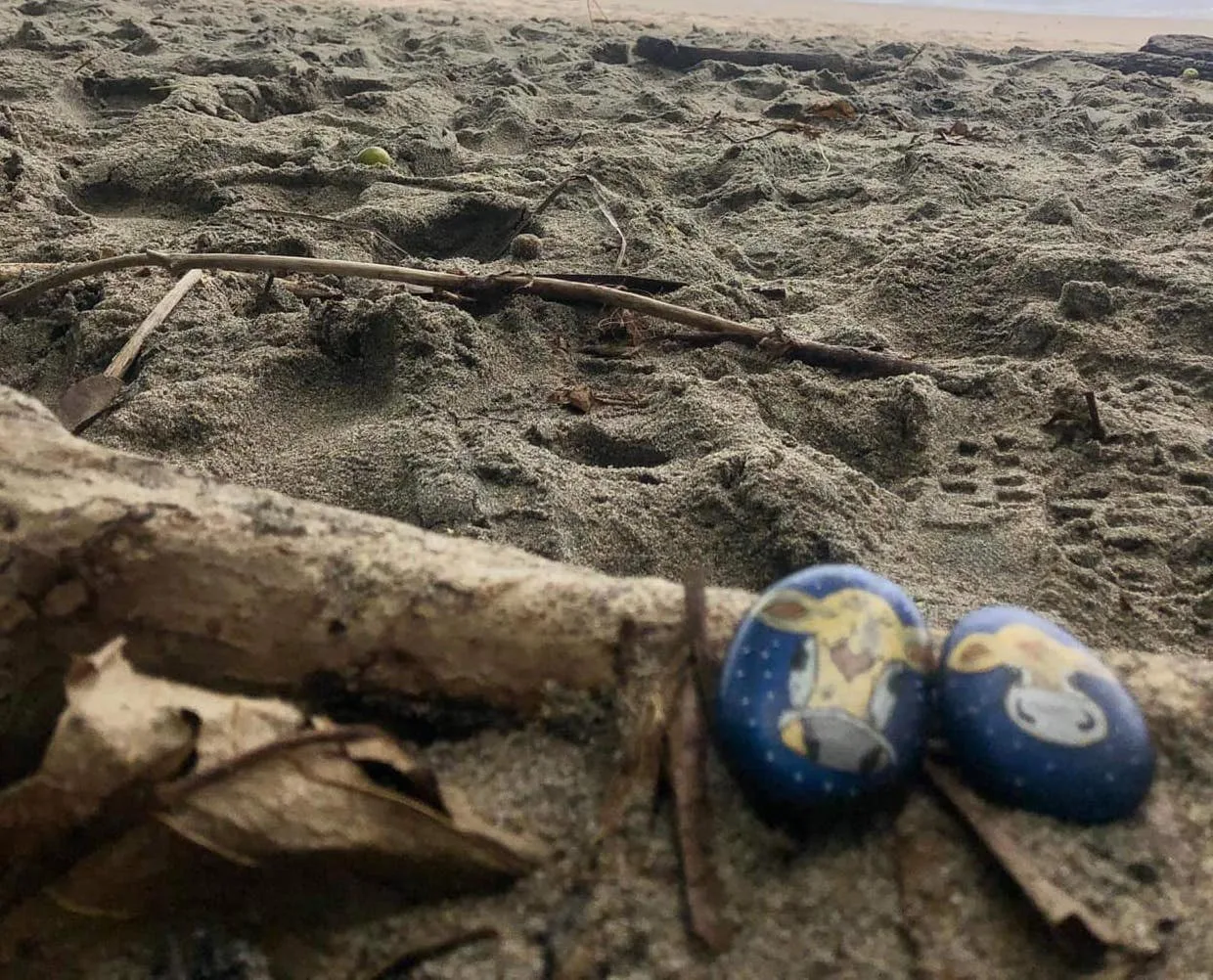 Cholula in Manuel Antonio Beach