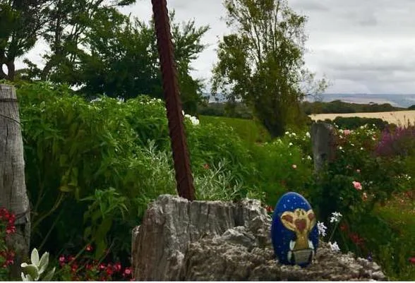Anne in Coriole Vineyards