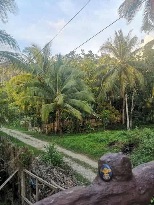 Palawan