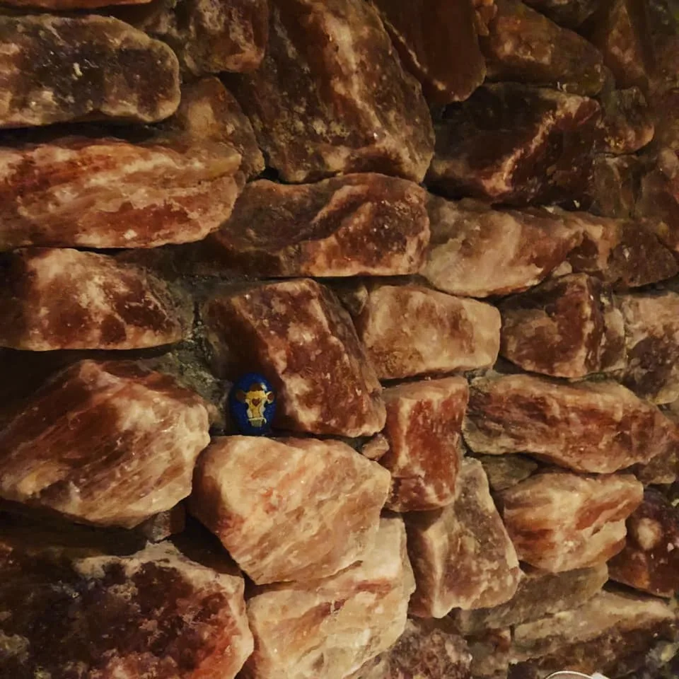 Zippy in La Cueva