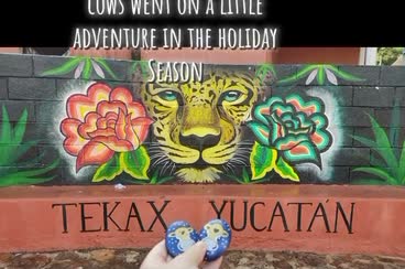 Epazote and Ozzy visiting Tekax, Yucatán