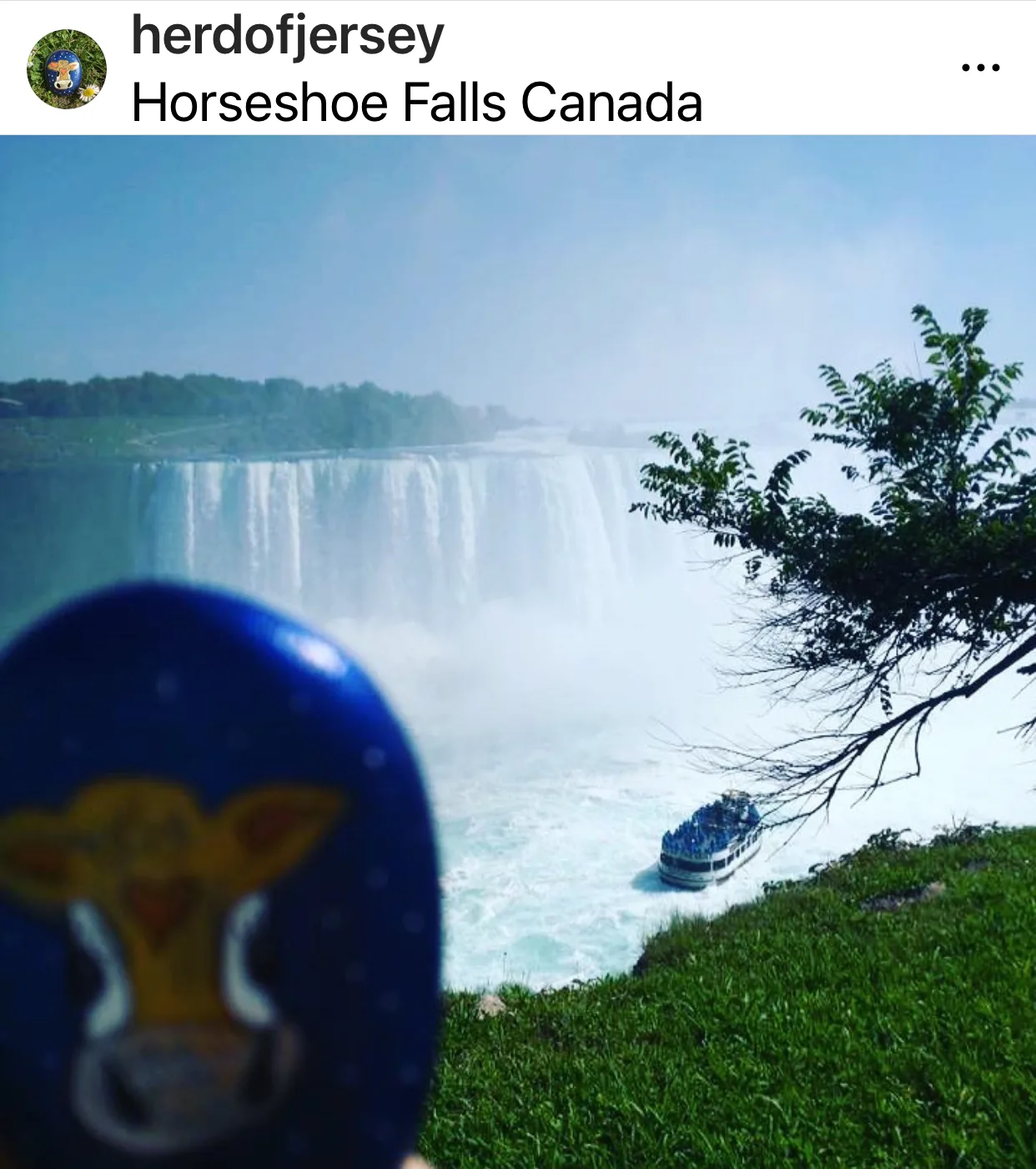 Fluff in Horseshoe Falls