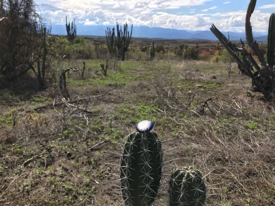 Cholula in Tatacoa Desert