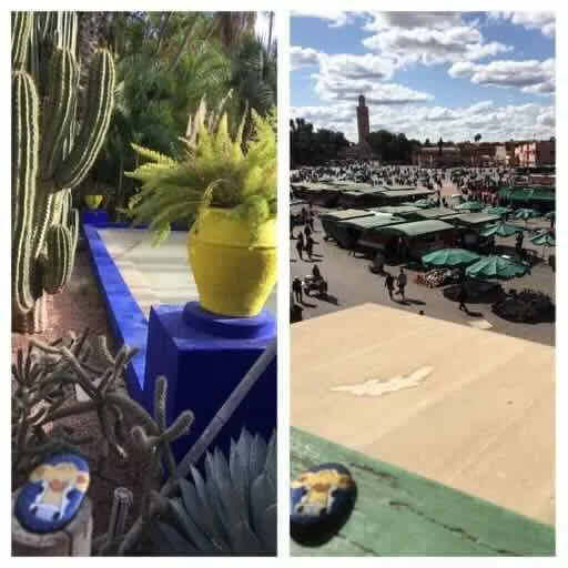Torina in Marrakesh