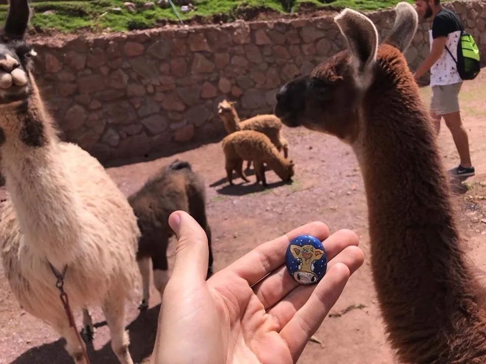 Cholula in Cochahuasi Animal Sanctuary